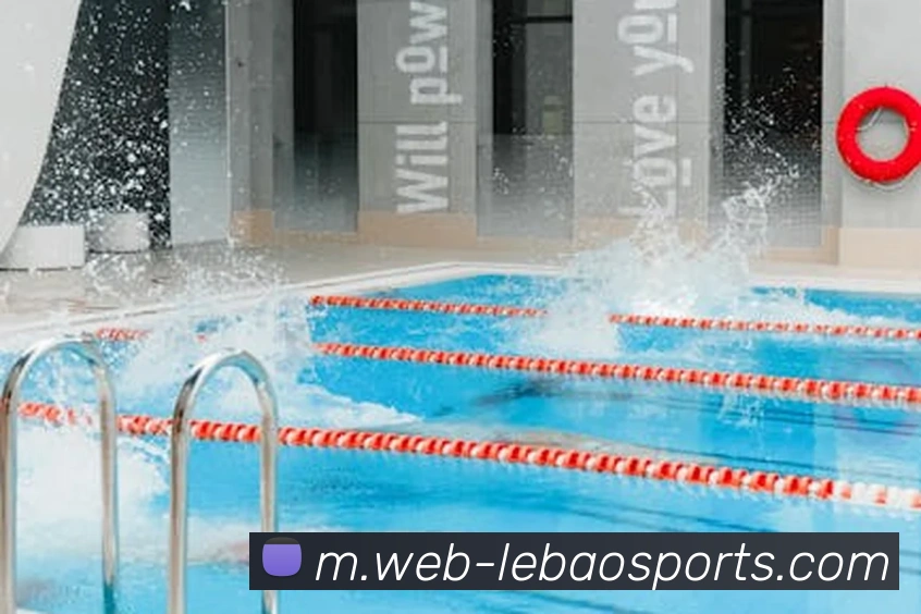 体育下注平台生态图